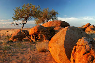 Landschaft am Brandberg