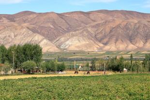 Landschaft des Nationalparks nahe Chong Kemins 