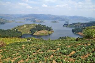 Panoramablick auf See