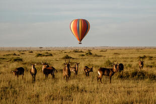 Heißluftballon auf Safari im Serengeti Nationalpark 