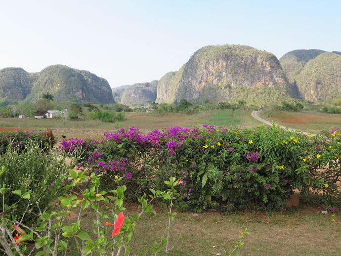 Karstlandschaft im Tal von Vinales