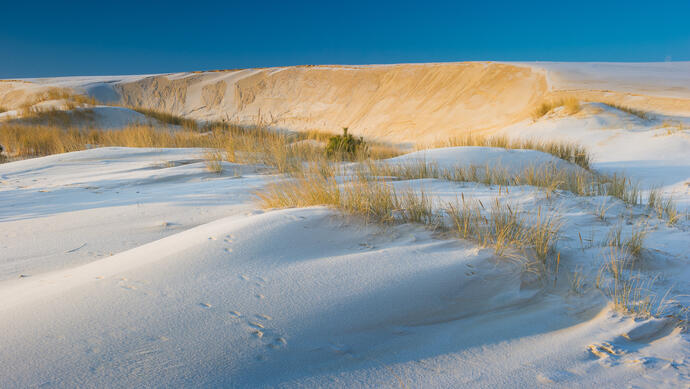 Sanddünen im Slowinski-Nationalpark