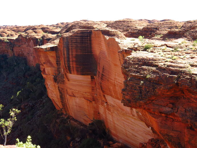 Blick auf Kings Canyon 