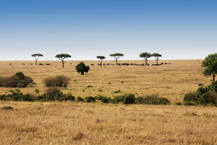 Masai Mara Nationalpark