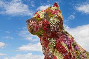 "Puppy" vor dem Guggenheim- Museum