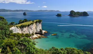 Coromandel 