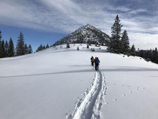 Schneeschuhwandern an die Spitze des Berges