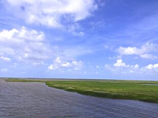 Ausblick auf das Wattenmeer und seine Küste