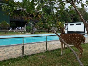 Hotelgarten und Pool