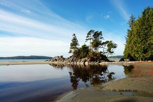 Küste vor Tofino 