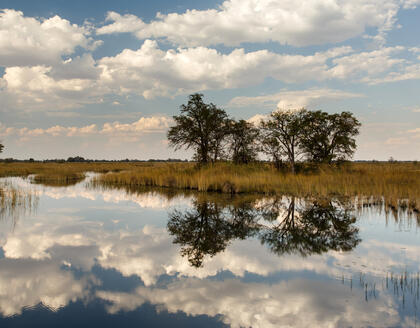 Okavango Delta