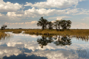 Okavango Delta