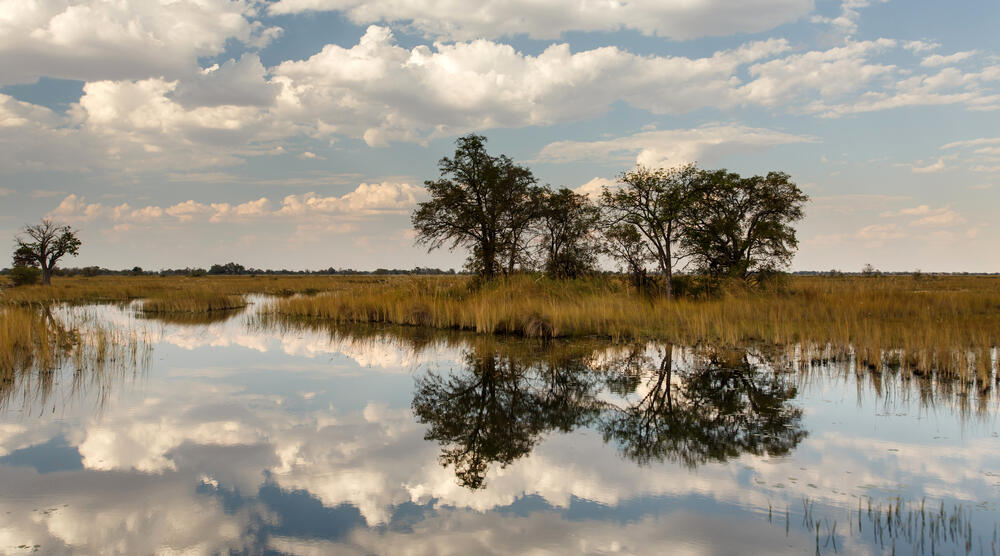 Okavango Delta