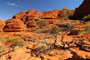 Roter Kings Canyon 