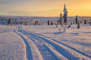 Winterlandschaft Ivalo