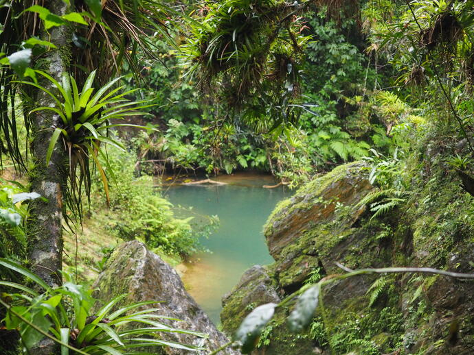 Nationalpark Topes de Collantes 