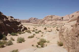 Wadi Rum 