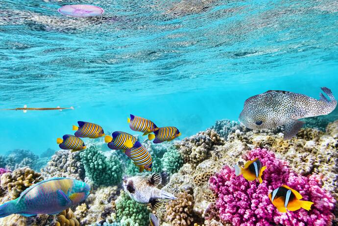 Great Barrier Reef