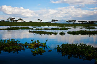 Lake Naivasha