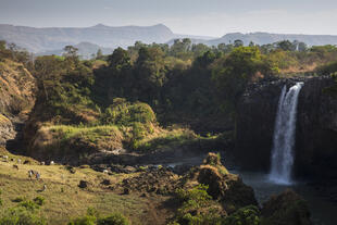 Wasserfall am Blauen Nil