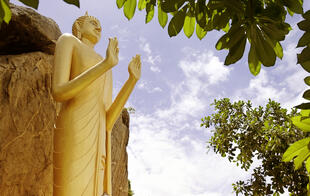 Buddha Statue 