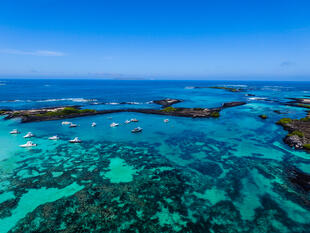 Galapagos Insel