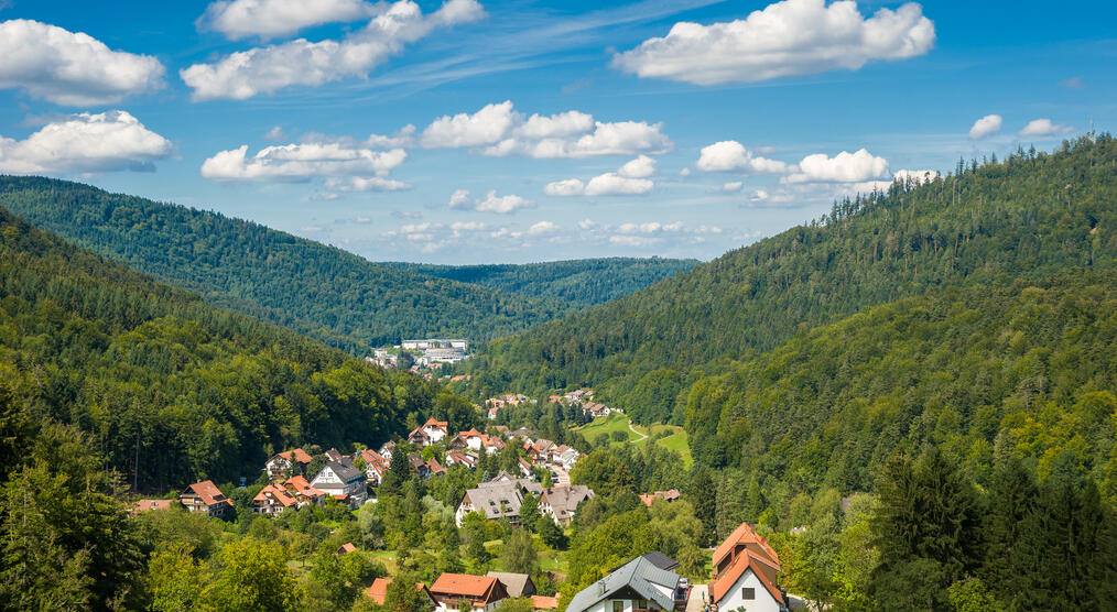 Schwarzwald