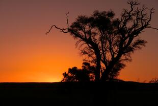 Sonnenuntergang in Namibia