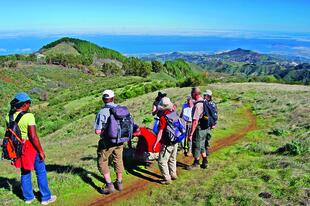 Wandern im Grünen