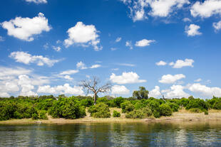 Chobe Nationalpark