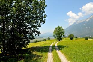 Die idyllische Umgebung des Bio-Landhauses Knura