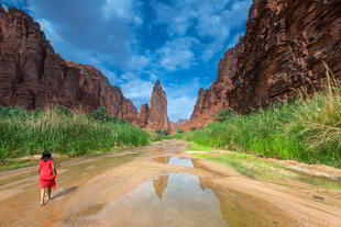 Flusslauf in Wadi Disah