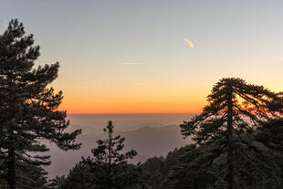 Sonnenuntergang über dem Troodos-Gebirge