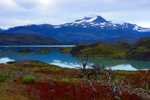 Puerto Natales