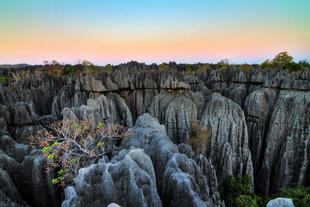 Tsingy de Bemaraha