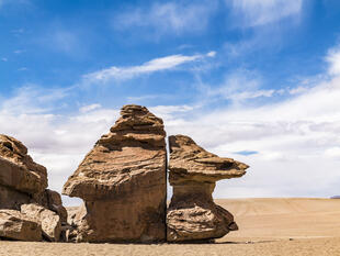 Arbol de Piedra