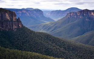 Bewaldete Blue Mountains