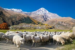 Kazbegi