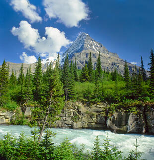 Mount Robson 