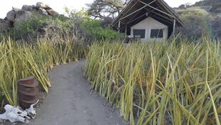 Olduvai Camp Zimmer