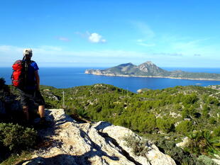 Blick auf die Insel Dragonera