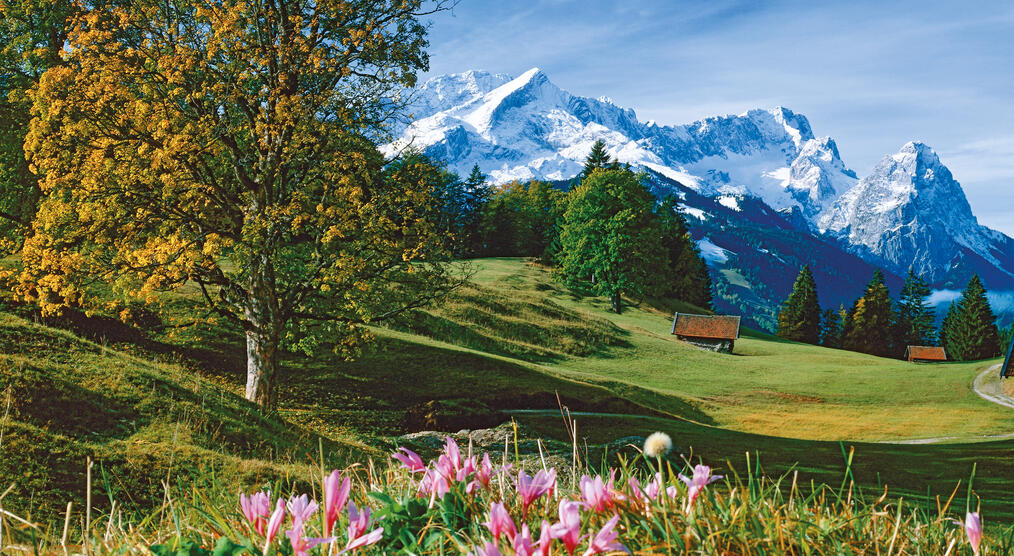 Blick auf die Zugspitzgruppe