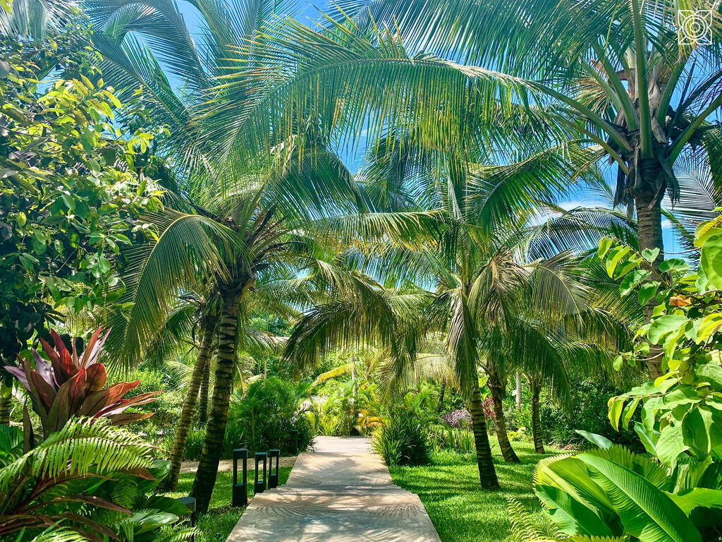 Gartenallee in der Parkanlage