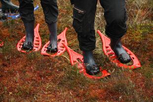 Moorschuhwanderung im Lahemaa-Nationalpark