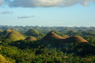 Bohol Island