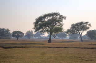 Landschaft im Nationalpark von Sambia