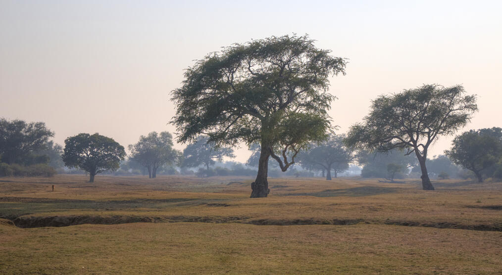 Landschaft im Nationalpark von Sambia