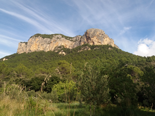 Puig d´Alaró