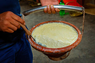 traditioneller Plain Curd auf dem Tontopf 