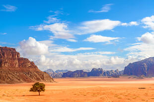 Wadi Rum